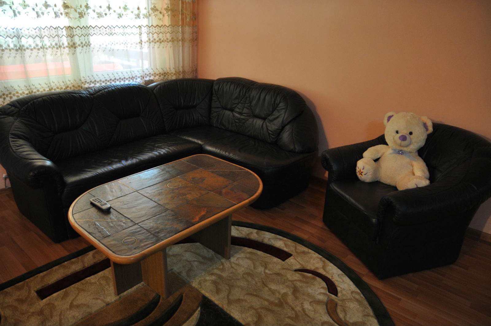 cabana-ovidiu-41